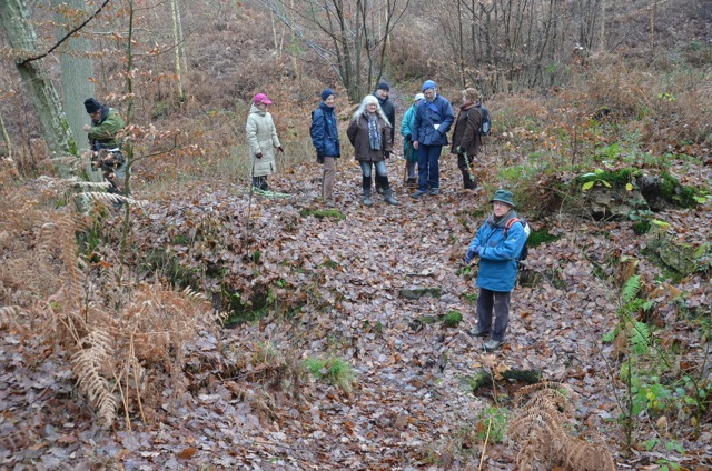 2011 12 A la découverte des lichens 39